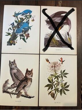 Audubon Birds Of America Prints (L2)